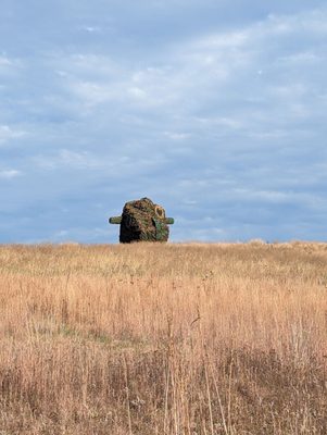 Glenstone Museum