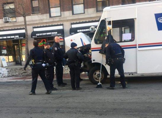 Rescued Kitten stuck in USPS truck by NYPD 13th Precinct and Doctor Ted Werner