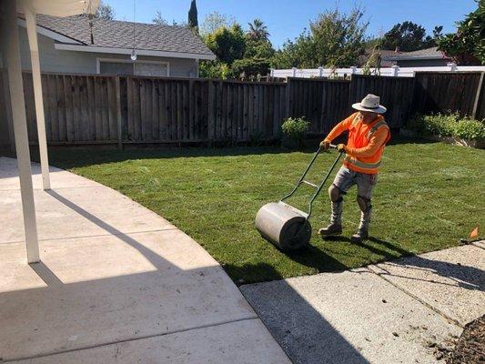 Landscaping yard clean ups and more we do it all call us directly 408 899-1885