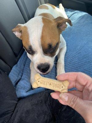 Aly & her coworker gave us 2 Milk-Bone treats for our dog.