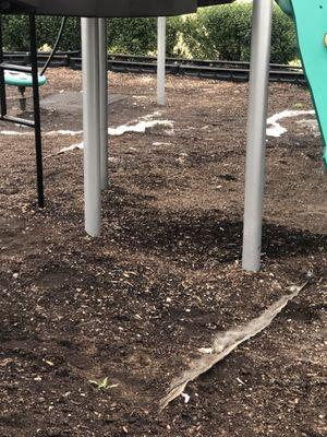 Playground - Damaged Ground is a trip hazard.