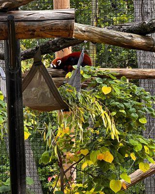 Fort Wayne Children's Zoo