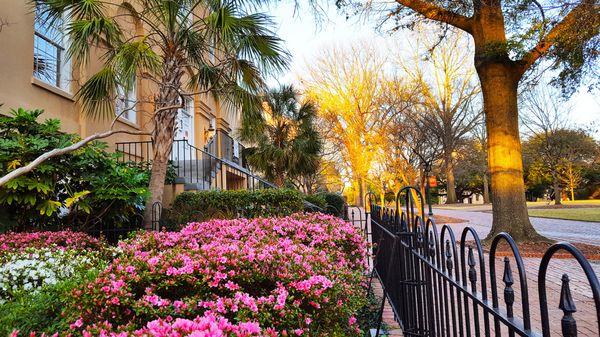 McCutchen House on the Historic Horseshoe