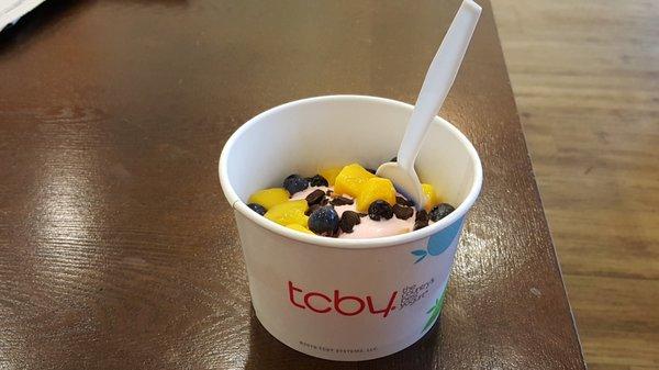 My Creation at TCBY Ann Arbor