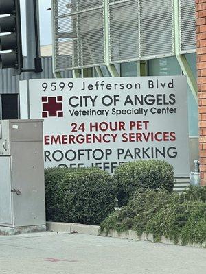 City of Angels Veterinary Specialty Center