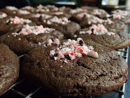 Chewy Double Chocolate Peppermint Cookies