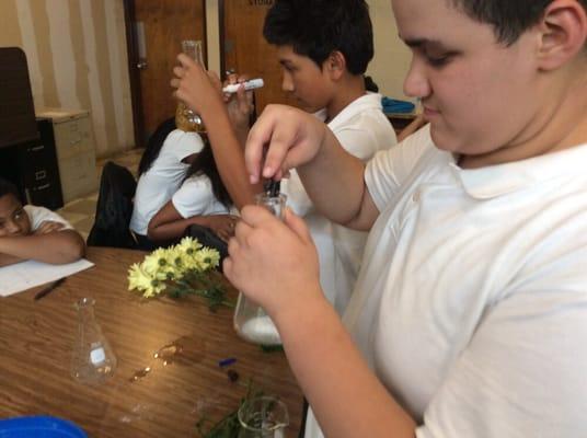 P.S. 39 students experiment with flowers donated by Brennan's Florist. Thank you for advancing the cause of science education.