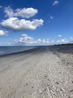 Long Beach walk