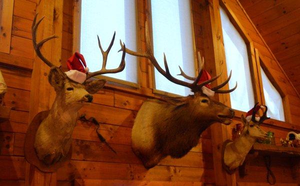 Festive hats but they won't be pulling and sleighs