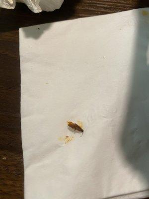 Bug in the birria quesadilla and consome