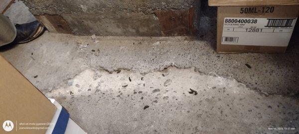 rat poop on floor of storage unit