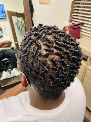 Starter Locs