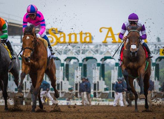 Santa Anita Park