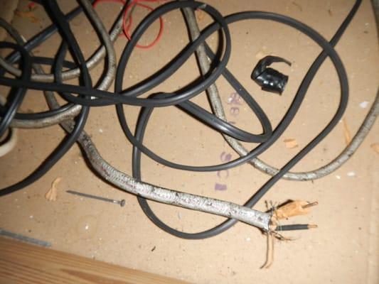 Open live electrical wiring found during a West Palm Beach home inspection. This could run your day real quick.