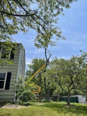 Good's Tree Care