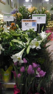 Easter lilies