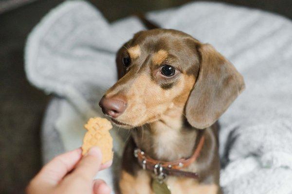 Cute pineapple shape cookies with bacon flavor.