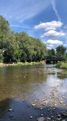 Beautiful outlet to the Cedar River. W