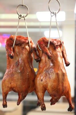 Roast Duck $11.95 Half $22 Whole