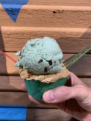 Mint chocolate chip and salted caramel w peanut butter cup gelato