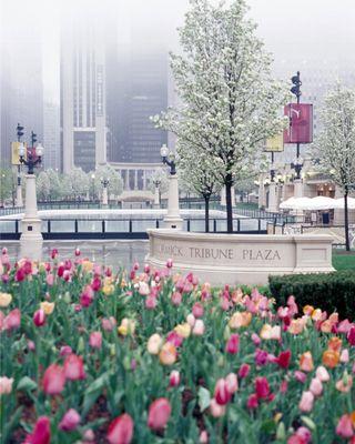 Terry Guen Design Associates Inc. - Millennium Park 2004