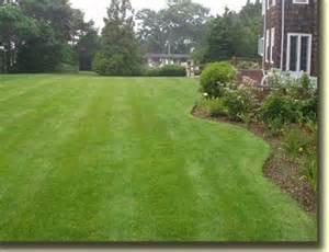 Green Thumb Lawn Care & Clean Up Service