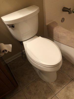 new Kohler toilet