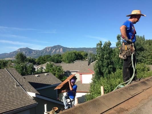 Royal Roofers in Action.