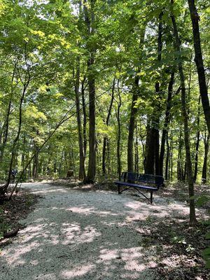 A lovely spot to sit and wait for Jacob Black, Edward Cullen, or Jason Vorhees.