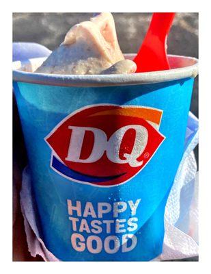 Dairy Queen Store