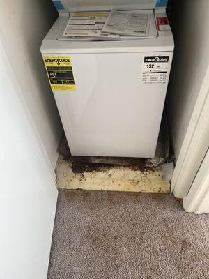 Damage from washer and dryer being replaced