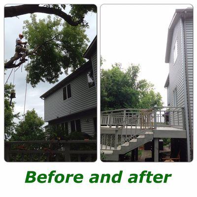 Before and after of Monti removing a dangerously leaning tree over a house and deck.