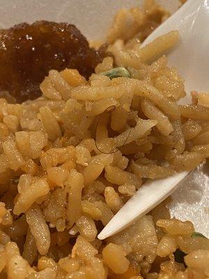 Found hair in my fried rice!