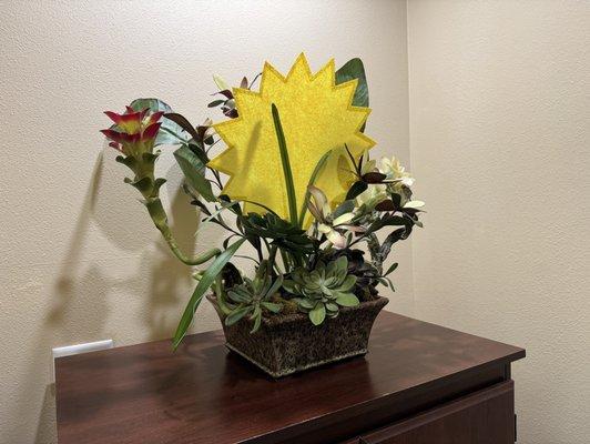 Hallway Succulents with Yellow Star