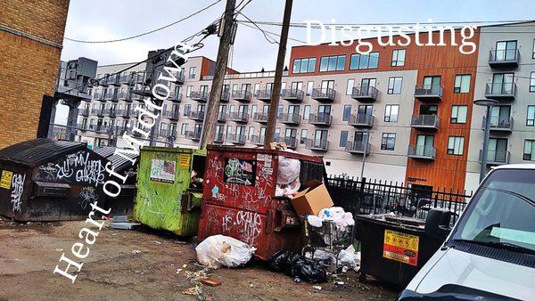 Rats and Birds eating from the overflowing dumpsters Sad