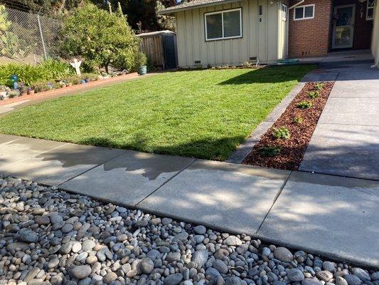 After:
Grass installed and add bark and plants along the side.