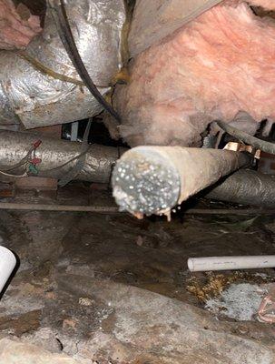 Roto Rooter Plumbing and Drain