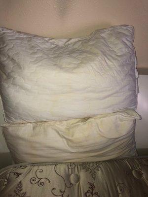 More filthy pillows. No clean pillows in entire condo.