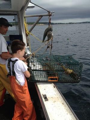 A hands on experiential lobstering trip! You even get to bring some home for dinner