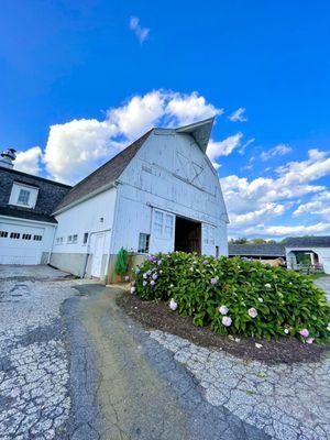 Dairy barn next to dairy bar