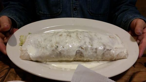 Omg this Burrito is huge