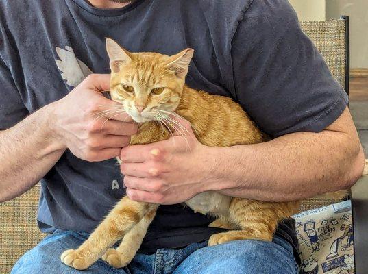 My roommate loving on a cute orange boy that was getting adopted.