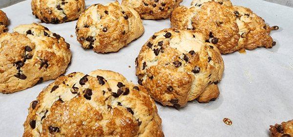 Chocolate chip scone