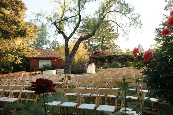 Natural Wood Chairs