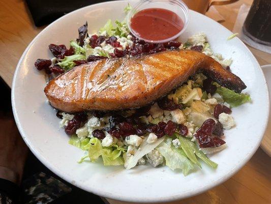 Salmon Salad with dried cranberries and blue cheese.