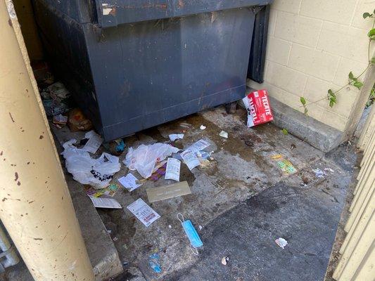 Another image of the upper dumpsters