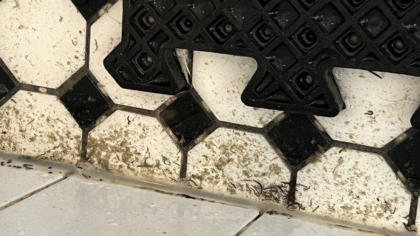 Dirt and maggots on the shower floor