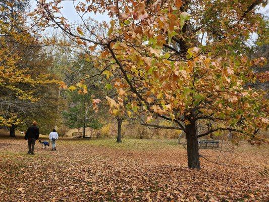 John A Finch Arboretum