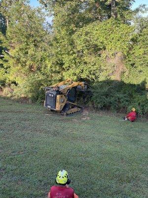 Taking down trees