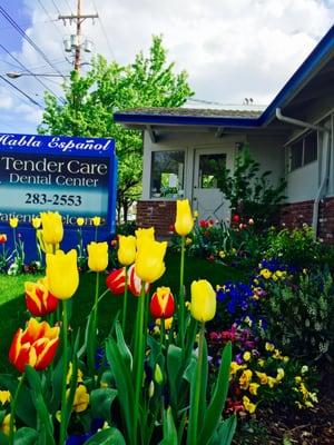 At TenderCare Dental we Bring Smiles To Life.